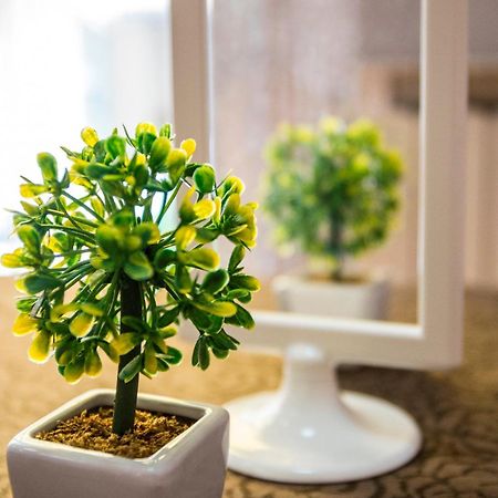 Hotel Nuovo Fiore Cattolica Kültér fotó